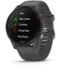 GARMIN FORERUNNER 255 1,3" 33mm 4GB RAM NFC BLUETOOTH WIFI GPS