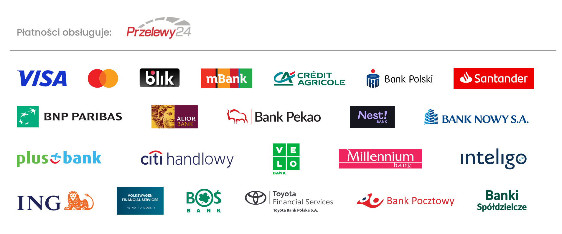 Płatności obsługuje Przelewy24: Visa, Mastercard, BLIK oraz wybrane banki